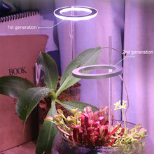 Carregar imagem no visualizador da galeria, LED Grow Light Full Spectrum Angel Ring USB Lamp for Indoor Plants