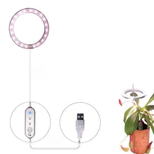 Carregar imagem no visualizador da galeria, LED Grow Light Full Spectrum Angel Ring USB Lamp for Indoor Plants