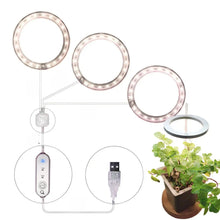 Carregar imagem no visualizador da galeria, LED Grow Light Full Spectrum Angel Ring USB Lamp for Indoor Plants