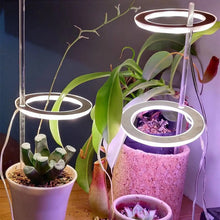 Carregar imagem no visualizador da galeria, LED Grow Light Full Spectrum Angel Ring USB Lamp for Indoor Plants