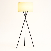 Carregar imagem no visualizador da galeria, Leora Floor Lamp
