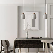 Carregar imagem no visualizador da galeria, Levon Pendant Light