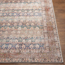 Load image into Gallery viewer, Maligaya Distressed Washable Rug - Clearance