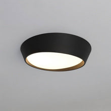 Carregar imagem no visualizador da galeria, Mia Ceiling Light