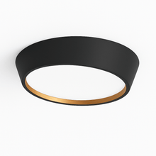 Carregar imagem no visualizador da galeria, Mia Ceiling Light