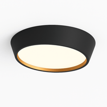 Carregar imagem no visualizador da galeria, Mia Ceiling Light