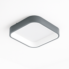 Carregar imagem no visualizador da galeria, Miray Ceiling Light