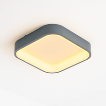 Carregar imagem no visualizador da galeria, Miray Ceiling Light