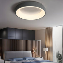 Carregar imagem no visualizador da galeria, Miray Ceiling Light