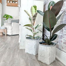 Load image into Gallery viewer, Whitewashed Woven Metal Baskets, Set of 2