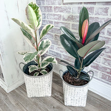 Load image into Gallery viewer, Whitewashed Woven Metal Baskets, Set of 2