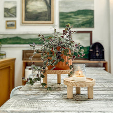 Carregar imagem no visualizador da galeria, Pine Wood Risers, Set of Two