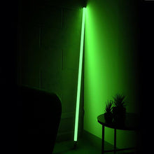 Load image into Gallery viewer, Neon Tube Floor Lamp