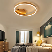 Load image into Gallery viewer, Nuri Ceiling Light