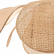 Carregar imagem no visualizador da galeria, Pankh Ceiling Light