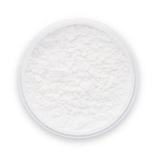 Carregar imagem no visualizador da galeria, Porcelain White Epoxy Powder Pigment