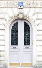 Load image into Gallery viewer, Marseilles Double Iron Doors