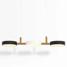 Carregar imagem no visualizador da galeria, Rangeen Pendant Light