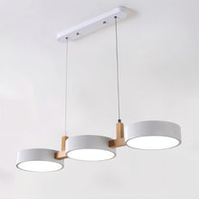 Carregar imagem no visualizador da galeria, Rangeen Pendant Light