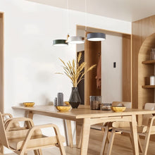 Carregar imagem no visualizador da galeria, Rangeen Pendant Light