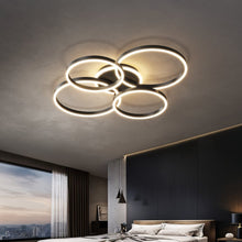 Carregar imagem no visualizador da galeria, Roshan Ceiling light