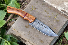 Load image into Gallery viewer, Custom Handmade Damascus Hunting Knife – Olive Wood Handle
