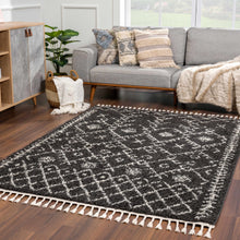 Load image into Gallery viewer, Thetford Black Berber Shag Rug - Clearance