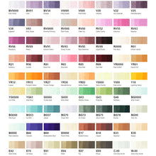 Load image into Gallery viewer, COPIC Sketch Marker 72pc E