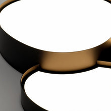 Carregar imagem no visualizador da galeria, Saidah Ceiling Light