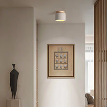 Carregar imagem no visualizador da galeria, Sasil Downlight