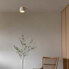 Carregar imagem no visualizador da galeria, Sasil Downlight