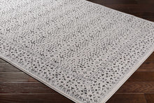 Load image into Gallery viewer, Sattley Area Rug