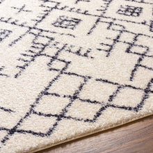 Load image into Gallery viewer, Elyes Beige Washable Area Rug - Clearance
