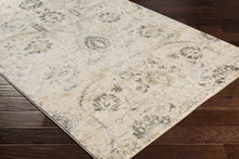 Carregar imagem no visualizador da galeria, Georgiana Beige Area Rug