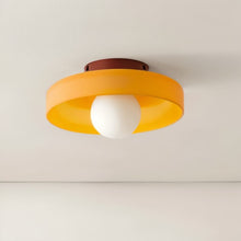 Carregar imagem no visualizador da galeria, Solia Ceiling Light