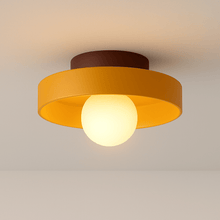 Carregar imagem no visualizador da galeria, Solia Ceiling Light