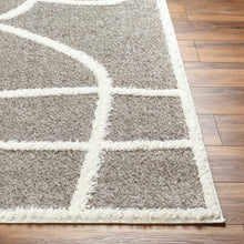 Load image into Gallery viewer, Gilon Taupe Plush Area Rug - Clearance