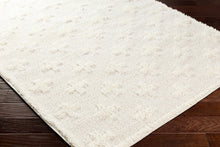 Load image into Gallery viewer, Satu Cream Area Rug