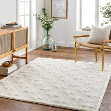 Load image into Gallery viewer, Satu Cream Area Rug