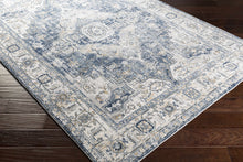 Load image into Gallery viewer, Telina Area Rug