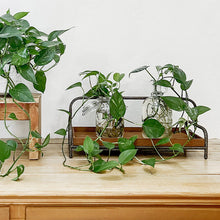 Carregar imagem no visualizador da galeria, Distressed Iron and Wooden Trays with Handles, Set of 2