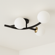 Carregar imagem no visualizador da galeria, Yente Ceiling Light