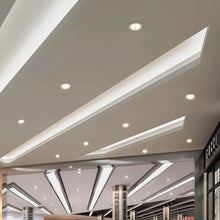 Load image into Gallery viewer, Zalie Downlight