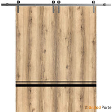 Cargar imagen en el visor de la galería, Planum 0012 Oak Double Barn Door and Silver Rail
