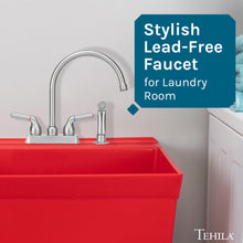 Cargar imagen en el visor de la galería, Tehila Stainless Steel Finish Gooseneck Faucet with Side Sprayer
