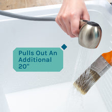 Cargar imagen en el visor de la galería, Tehila Stainless Steel Finish Pull-Out Faucet
