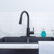 Load image into Gallery viewer, Tehila Black Finish High-Arc Pull-Down Faucet
