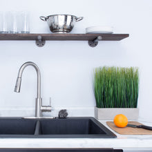 Cargar imagen en el visor de la galería, Tehila Stainless Steel Finish High-Arc Pull-Down Faucet
