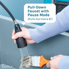 Load image into Gallery viewer, Tehila Black Finish Low Profile Pull-Down Faucet
