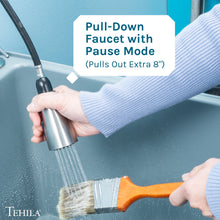 Cargar imagen en el visor de la galería, Tehila Stainless Steel Finish Low Profile Pull-Down Faucet
